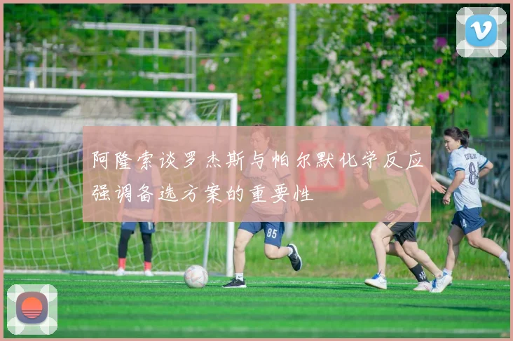 阿隆索谈罗杰斯与帕尔默化学反应强调备选方案的重要性